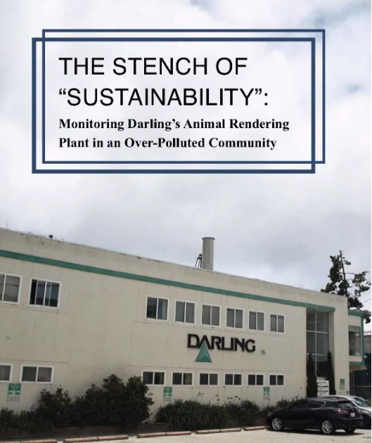 Cover of "Stench of Sustainability" report with image of Darling animal rendering plant