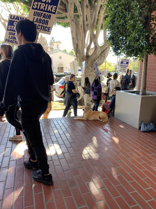 A zoomed out view of the first photo of Buckminster, showing more of the picket action around him