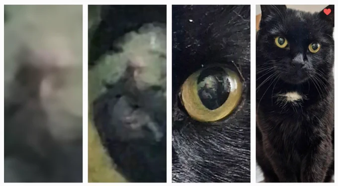 But zooming into my eyes, you can see the photographer!
