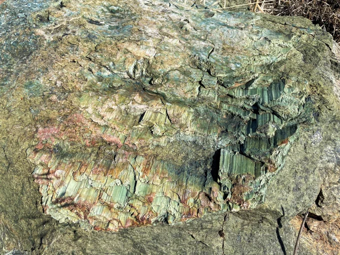 A boulder eroded from the San Andreas fault zone reveals sheared and striated serpentinite, a rock type commonly found along the creeping San Andreas fault.