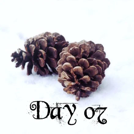 Day seven two pine cones lay atop a snow covered surface