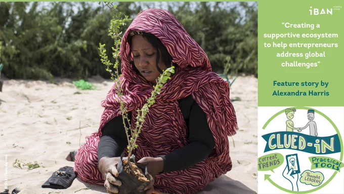 "Creating a supportive ecosystem to help entrepreneurs address global challenges", Feature story by Alexandra Harris. Image: Woman holding sapling