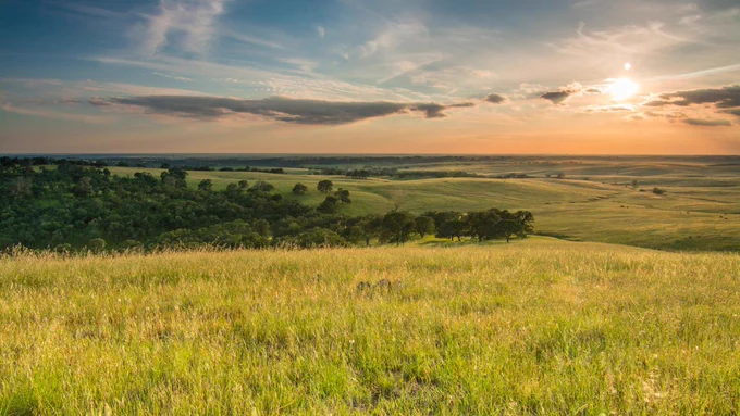 Photo of rolling fields with trees and the sun in the background