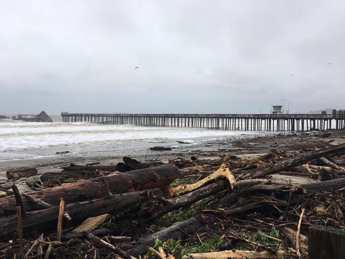 A gray stormy sky over rough ocean waters - driftwood cakes the beach from a storm
