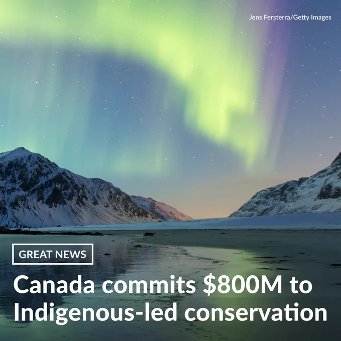 Aurora shine green and purple over snowy mountains and a shoreline