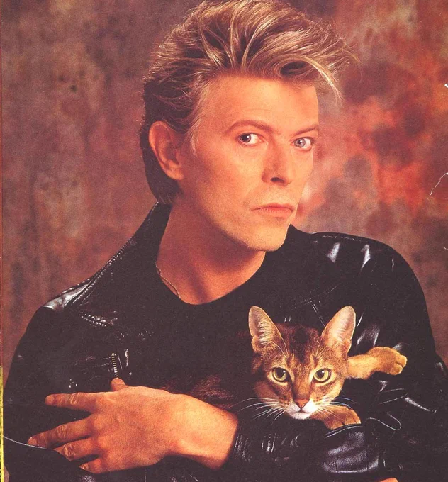 David Bowie holding an Abyssinian cat in his arms