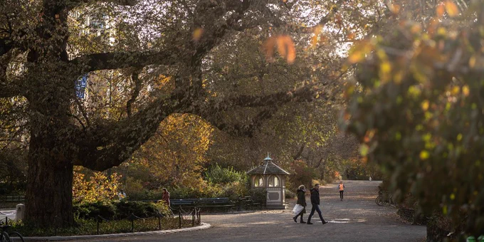 Park visitors walk along Central Park's Bridle Path in the fall.