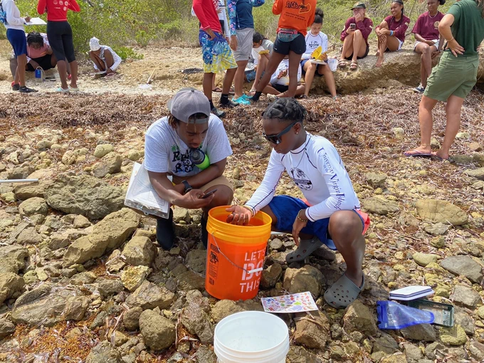 Two people crouch around a bucket on a rocky beach. 