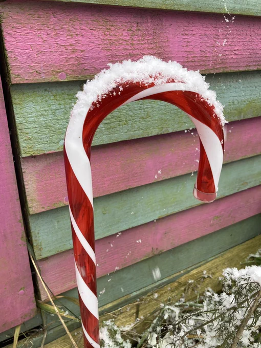 A red and white striped candy cane light on the garden topped with a hat of snow, with the pink and sage green striped front of our Stripey Shed in the background.