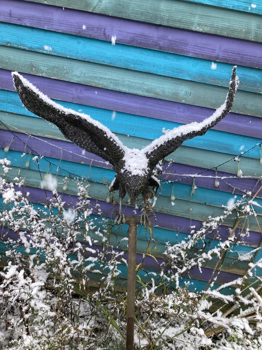 A wire hawk in our Tiny Garden covered in snow with the purple, turquoise and sage green striped side of our shed in the background and snow covered foliage beneath.