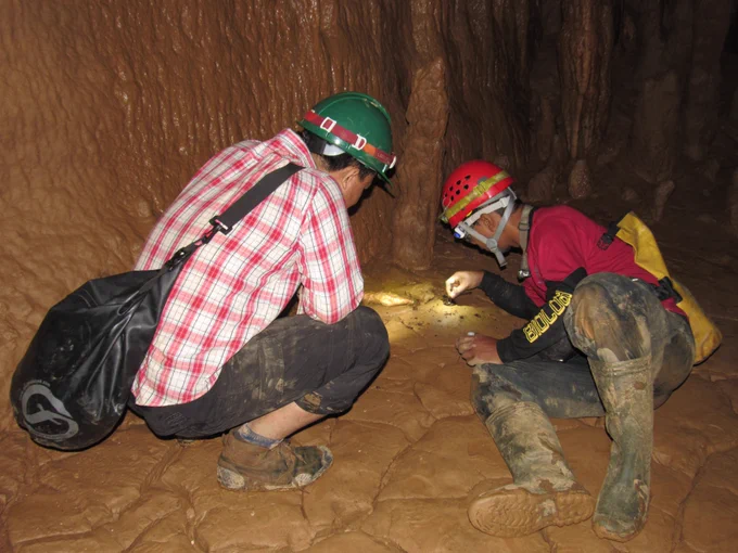 Invertebrate survey in limestone cave in Myanmar ©Fauna & Flora International