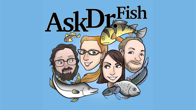 Four faces surrounded by fish. 