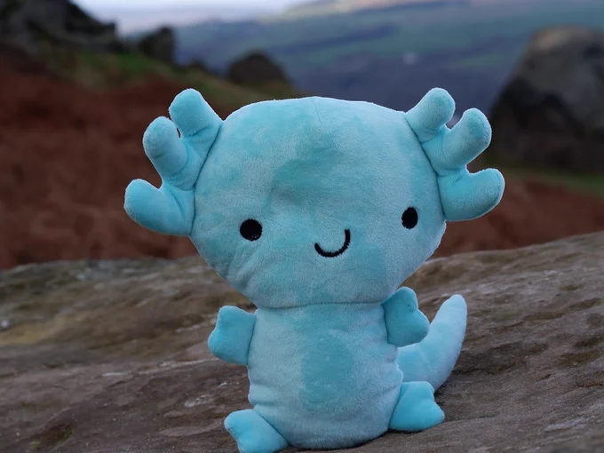 A stuffed toy axolotl sat on a rock near Ilkley's Cow and Calk rocks