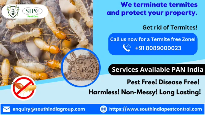 We terminate termites and protect your property. Call us now for a Termite free Zone!
Visit: https://bit.ly/termitecontrolBangalore
Call: 8089000023
Email: enquiry@southindiagroup.com
#termites #termitecontrol #termitefumigation #termiteprevention #termitespecialist #termitecontrolservice #pest #pestcontrol  #commercialpestcontrol #termitecontrolindia #posttermitecontrol #posttermitetreatment #postconstructiontreatment #termitetreatment #termitetreatmentservices #pestmanagement  #antitermitecontrol #pretermitecontrol #pretermitetreatment #pestcontrolkochi #pestcontrolcochin

