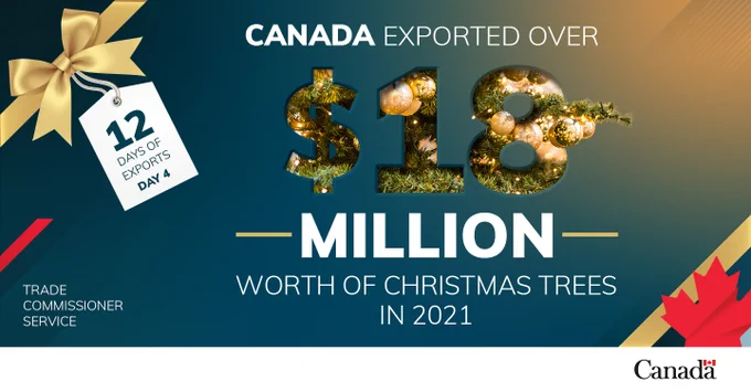 Canada exported over $18 million worth of Christmas trees in 2021.