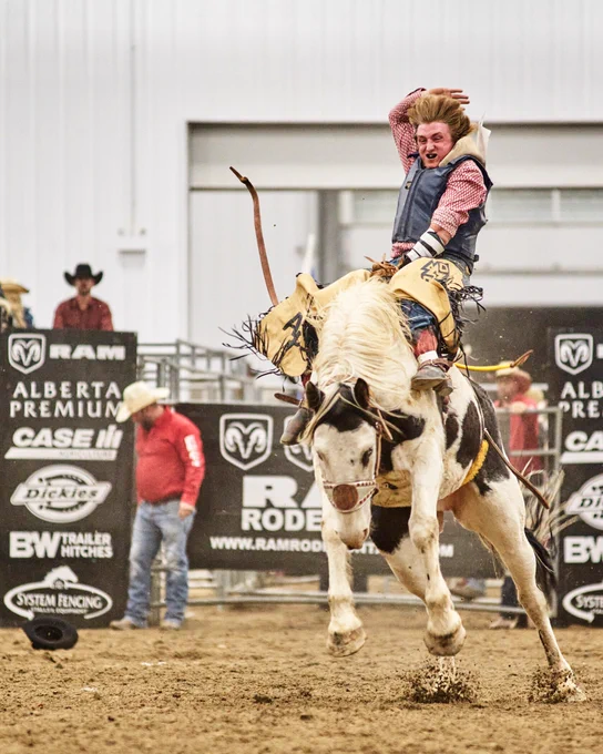 Santa is coming to town on a Canadian Quarter Horse