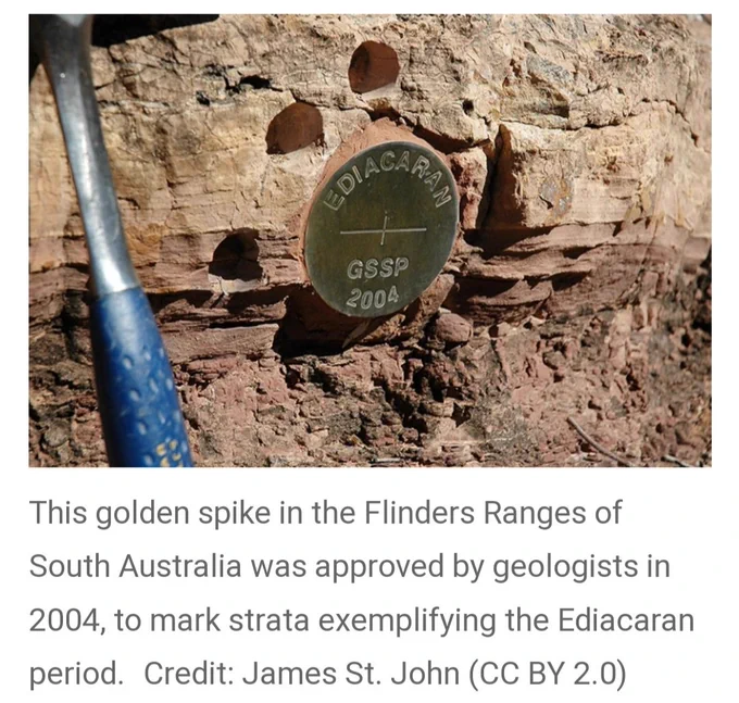 Screenshot has a pic and text below it as follows:

This golden spike in the Flinders Ranges of South Australia was approved by geologists in 2004, to mark strata exemplifying the Ediacaran period.Credit: James St. John (CC BY 2.0)

The above text aptly describes the pic