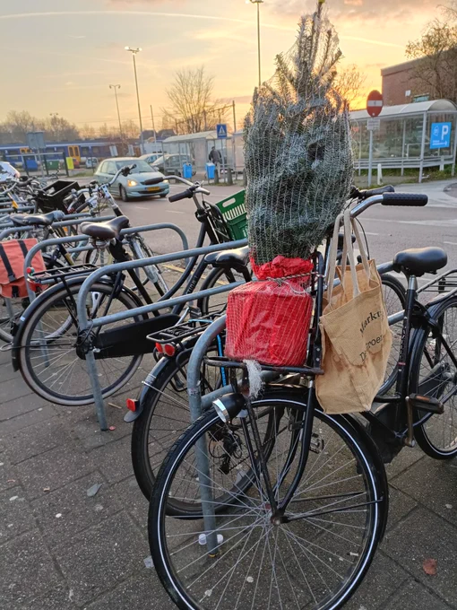 My bike with on the little carrier rack on the front a Christmas tree that's sorta slightly too big to be transported by bike
