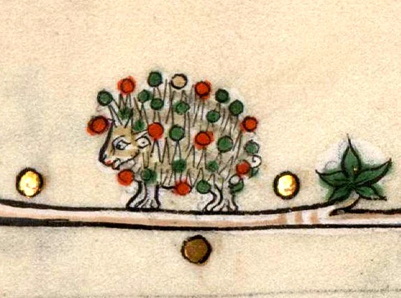Painting in medieval manuscript of a hedgehog. She has red, green and gold circles on her spikes with 3 gold circles nearby. She stands on a long branch which has one green leaf. Hedgehogs were believed to roll in fruit such as grapes to take them to their hoglets.
