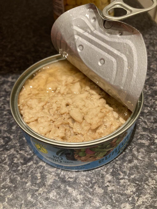 it looks (and smells) like tuna. opened can.