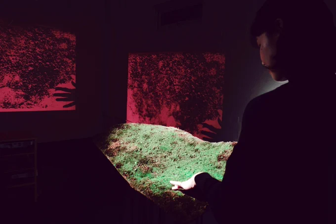 A woman strokes her hand over a living piece of moss, set in a dark room with two screens in the background showing hand and moss black-on-red. The picture is taking from the artwork "Destabilising Common Grounds" by artist Nirit artist Nirit Binyamini Ben Meir and used with kind permission. This installation lets audience members directly interact and play with living moss, visibly affecting its wellbeing with light and water.