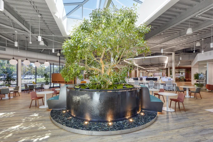 Nature-inspired central area at Ember's California HQ