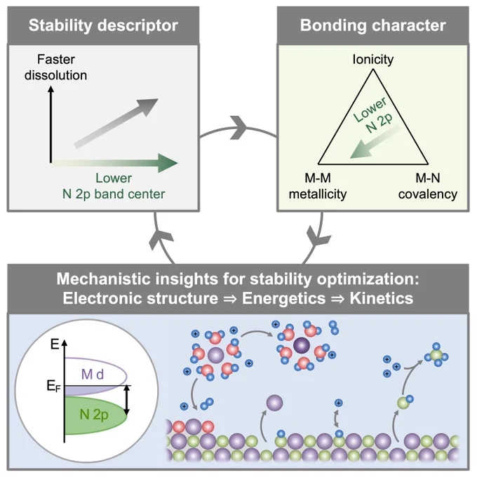 Transition metal nitrides have suffered from severe nitride dissolution and subsequent ammonia generation in acidic electrolytes, limiting the use of earth-abundant nitride catalysts in proton exchange membrane fuel cells and electrolyzers. Combining theory and experiment, we have established design principles governing the extent and kinetics of nitride decomposition and ammonia production in acid. Guided by these insights, new nitride catalysts can be rationally designed with optimized stability in acid to electrify and decarbonize the production and utilization of chemicals and fuels.