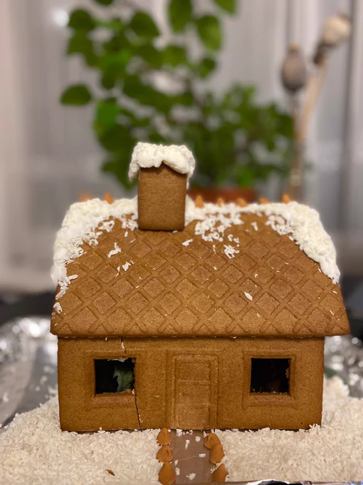 A very classy gingerbread house covered in coconut