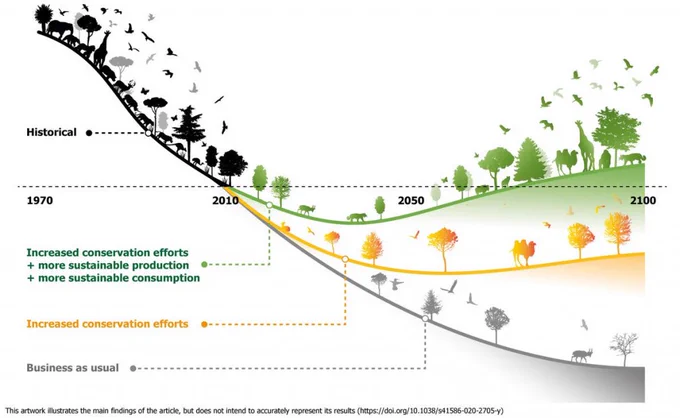 Il·lustració que representa les principals conclusions d’un estudi Il·lustració que representa les principals conclusions d’un estudi realitzat sobre l’evolució de la biodiversitat en diferents escenaris. Imatge: Adam Islaam. Datos: https://doi.org/10.1038/s41586-020-2705-y.
