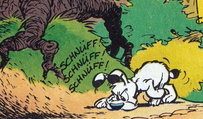 Idefix schnüffelt mit der Nase am Waldboden.