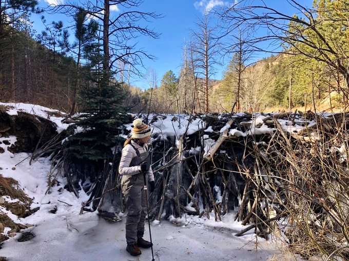 Me standing in front of a frozen beaver dam and pond