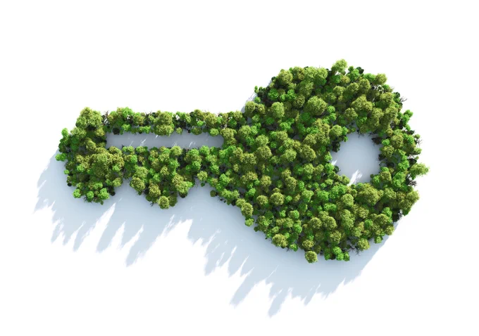 Aerial view of trees in the shape of a key.