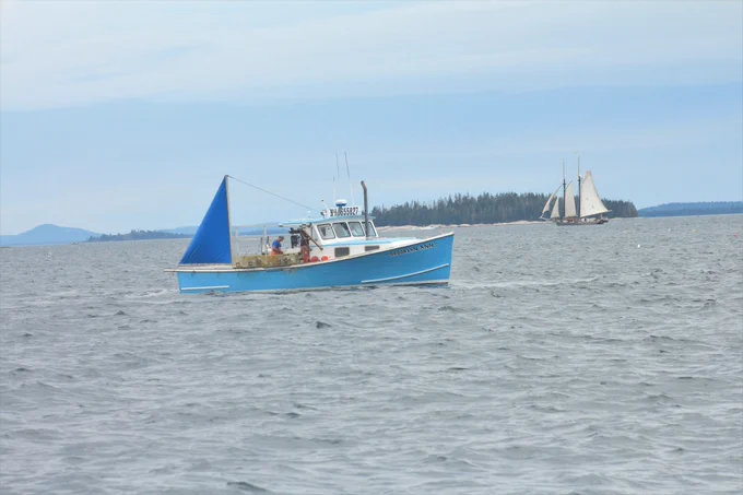 Lobstermen in a boat off Stonington, Maine, USA. Photo by Caroline Paras.