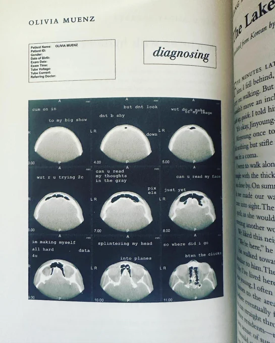 A CT scan of the author’s head in nine planes. “cum on in / to my big show // dnt b shy / but dnt look / down // wut do u make / of my image // wut r u trying 2c // can u read / my thoughts / in the gray / pix / els// can u read my face / just yet // im making myself / all hard / data / 4u // splintering my head /into planes // so where did I go / btwn the clicks”