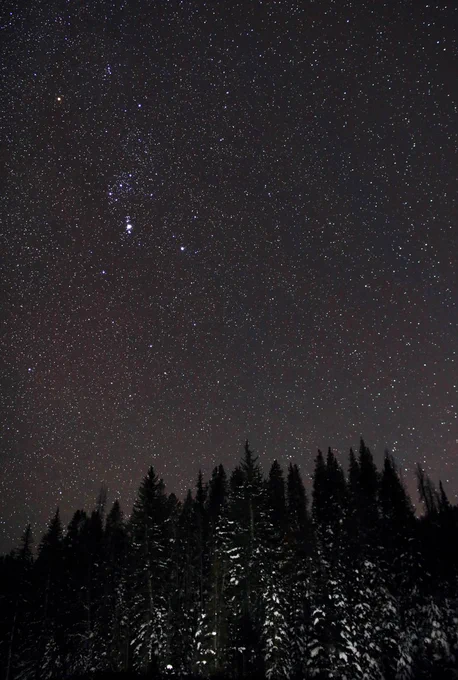 The constellation Orion appears in a starry night sky above a forest of snowy pine trees. Image credit: NASA/Bill Dunford