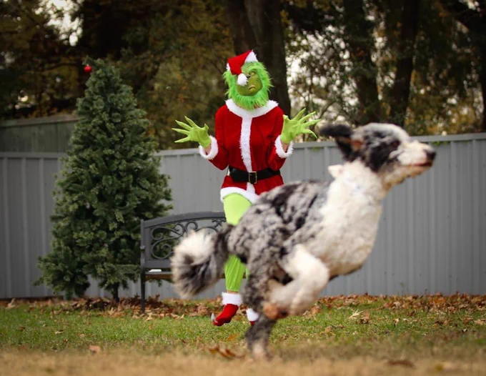 a light brindle dog races toward the camera, ears flopped out in motion. the grinch has one leg lifted mid-stride, and you can see the little red and white-trimmed santa booties they have on their feet. their long, creepy, green fingers are still outstretched in a menacing pose, but the dog’s totally got this.