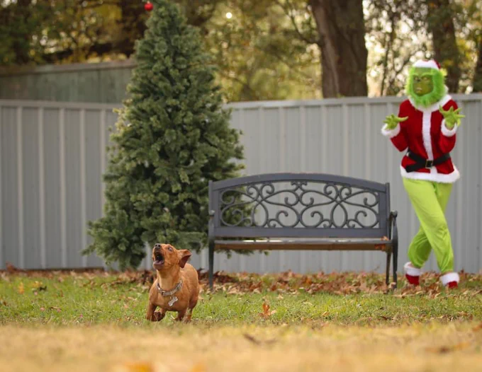 a brown dachshund runs screaming from the grinch prowling around in the background. the dog’s mouth is open, their eyes are wide, showing a bit of the whites, and their legs almost appear to be doing that comical flintstones scramble as they sprint as fast as their tiny legs can take them.