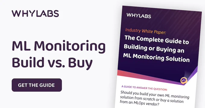ML Monitoring - Build vs. Buy Guide - WhyLabs