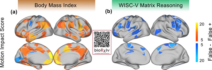 You can see how and where residual motion artifact is affecting your connectivity matrix. For example, body mass index (data from the ABCD study) had a mostly false positive motion impact score, indicating that motion inflated brain-behavior correlations. WISC-V matrix reasoning had a mostly false negative motion impact score, indicating that its brain-behavior correlations would actually be bigger if not for motion artifact!