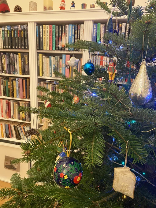 My Christmas tree with bookcases behind.