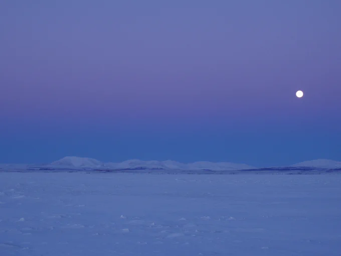 A snow-covered landscape with the distant Igichuk Hills of Cape Krusenstern National Monument visible from afar. The full moon sits low in the violet sky shining light onto the snow-swept vista. Credit: National Park Service