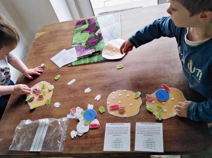 Young children playing Cell Survival Drive