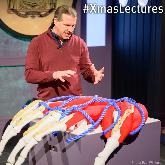 Ricki Boswell-Challand looks and gesticulates at a large model of bones, tendons and veins of a hand. He is wearing a burgundy jumper and his hair is tied behind his head.