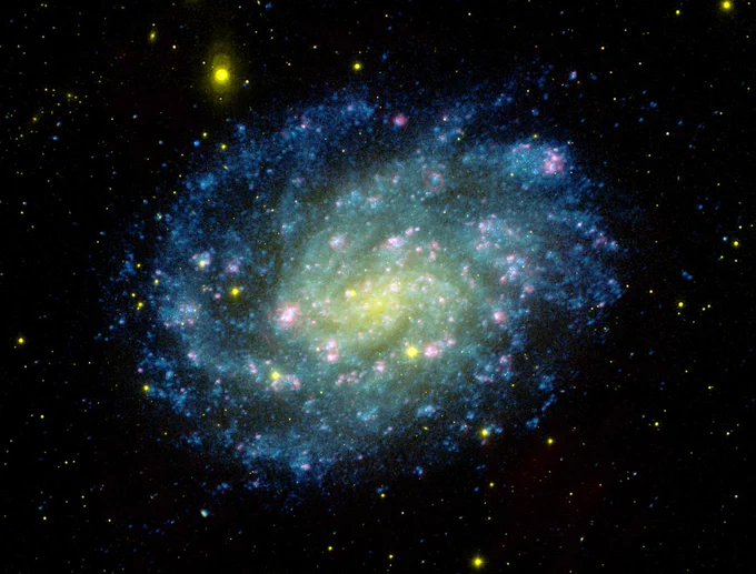 Imagen de una galaxia espiral con brazos espirales salpicados de estrellas azules de intensidad variable. El núcleo de la galaxia es más brillante y las estrellas aparecen de color amarillo verdoso. La imagen fue tomada por el satélite Explorador de evolución de galaxias, o GALEX por sus siglas en inglés. 