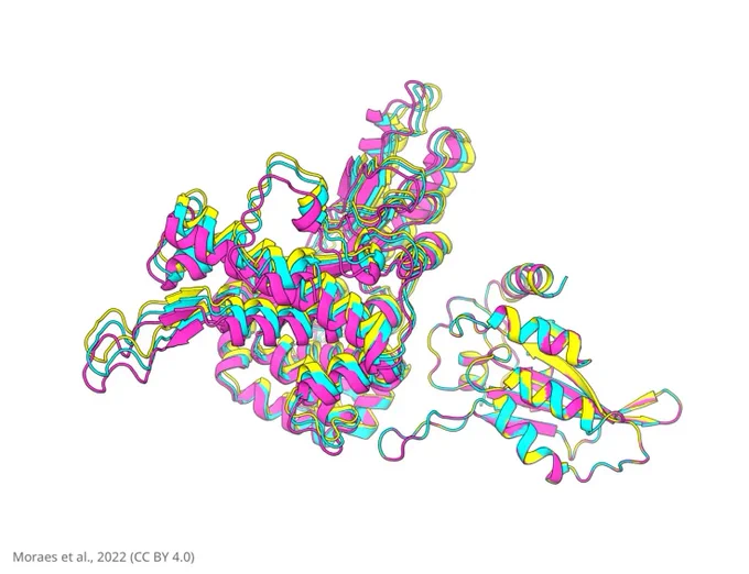 A superposition of the three highest-ranked protein-protein docking models of the KSHV ORF61-A3Bctd complex in pink, yellow and blue, generated using RosettaDock  
