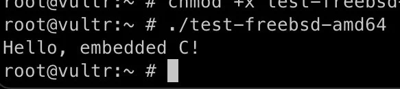 terminal showing running of a binary that is running cgo embedded code that was compiled on linux running in freebsd