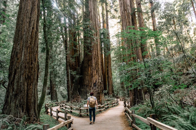 man stands at split trail 