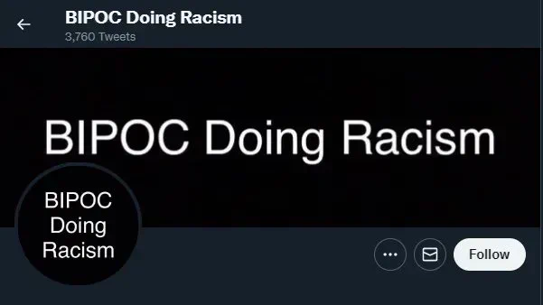 A screenshot of BIPOCracism's profile picture and banner.