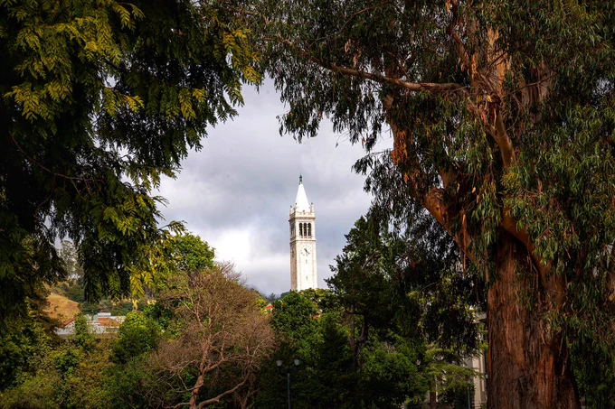 Photo of the Campanile at the University of California, Berkeley. It is take looking through eucalyptus trees.