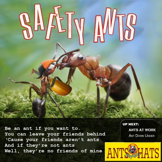 Safety Ants
Be an and if you want to.
You can leave your friends behind
'cause your friends aren't ants
and if they're not ants
Well, they're no friends of mine
— Ants without Hats

Up Next:
And Down Under
— Ants at Work
